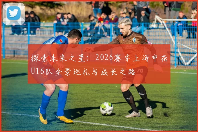 探索未来之星：2026赛季上海申花U16队全景巡礼与成长之路